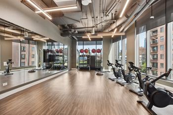Fitness club with cardio and muscle toning equipment, free weights